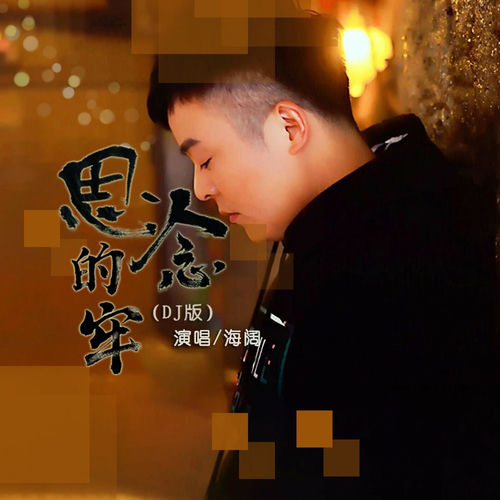 思念的牢 (DJ版)