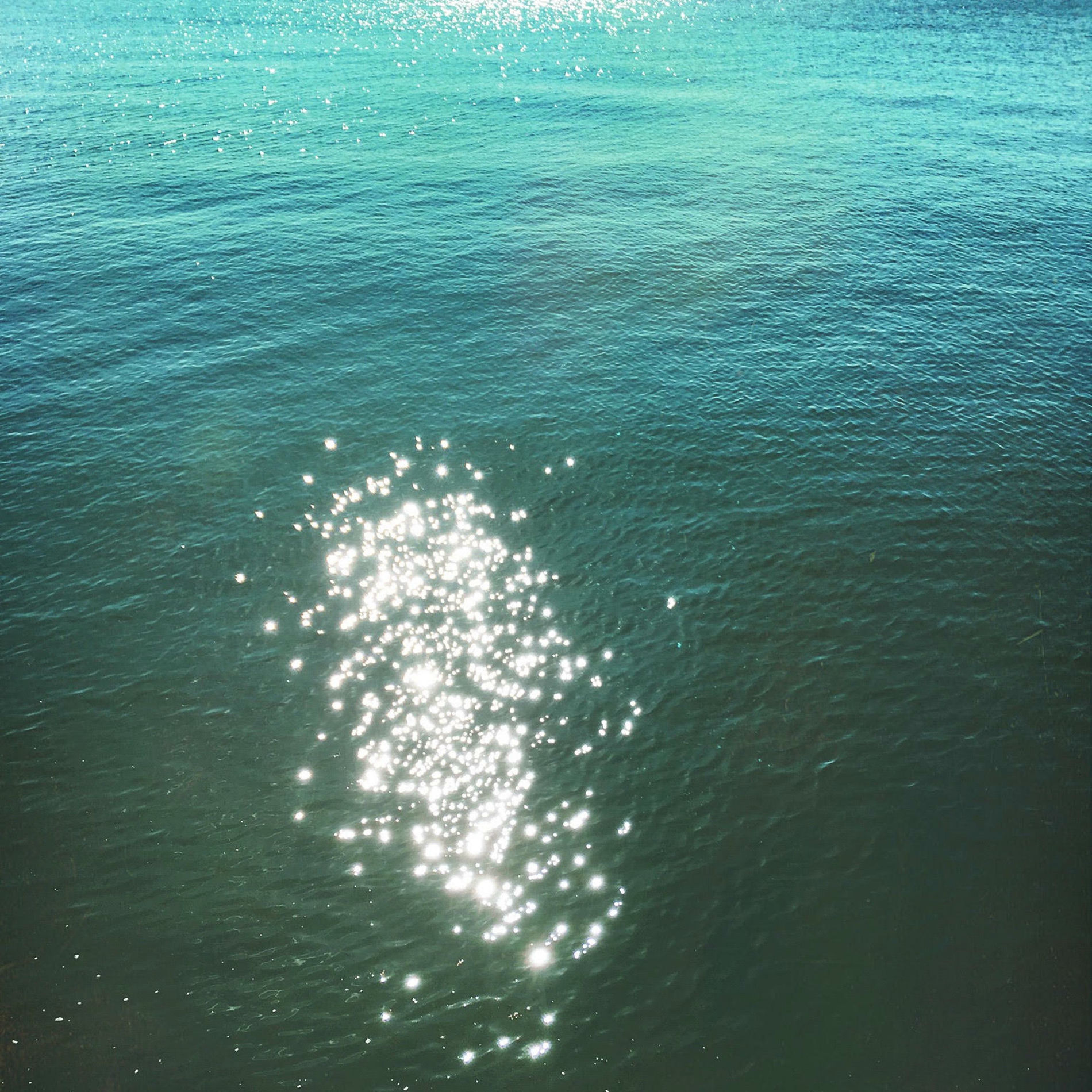Album cover of Bloom