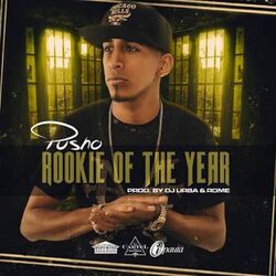 Cover of The Rookie of the Year