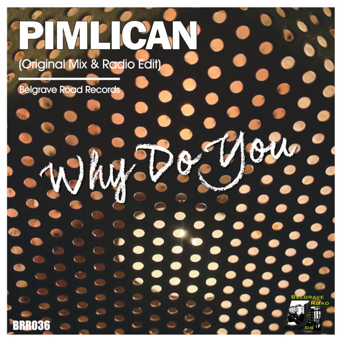 Album cover of Why Do You