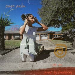 Cover of sago palm/quiet storm