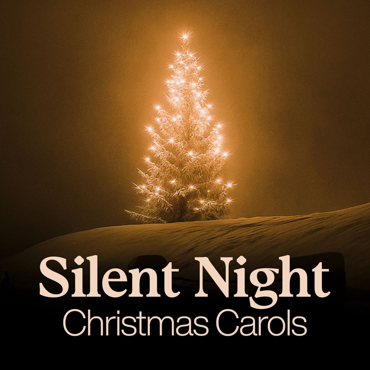 Album cover of Silent Night - Christmas Carols