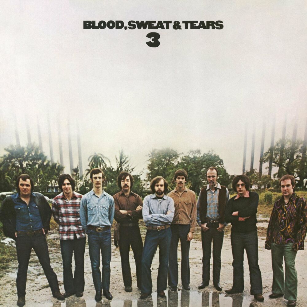 Picture of Blood, Sweat And Tears 3