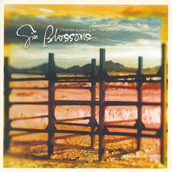 Cover of Outside Looking In: The Best Of The Gin Blossoms