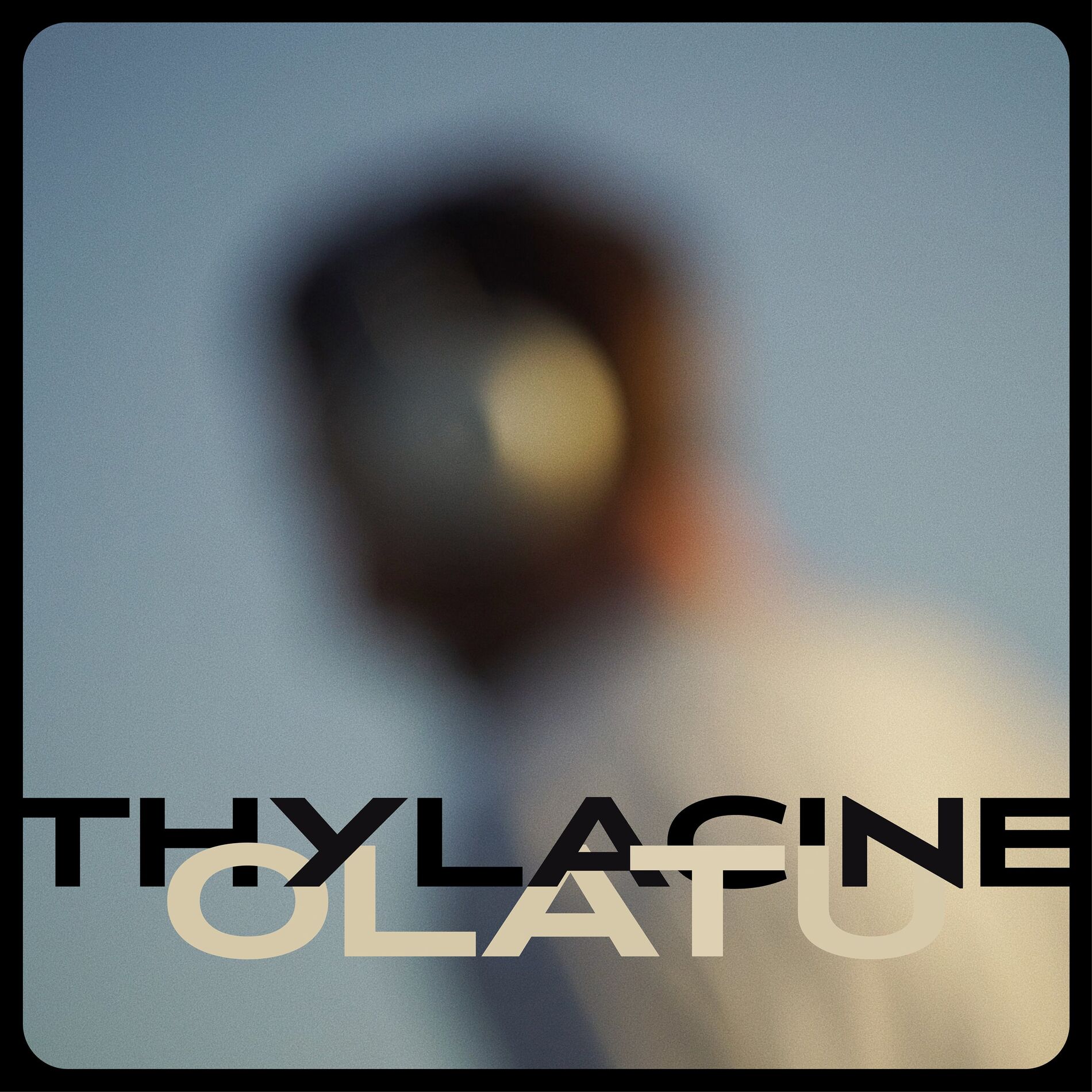 Album cover of Olatu