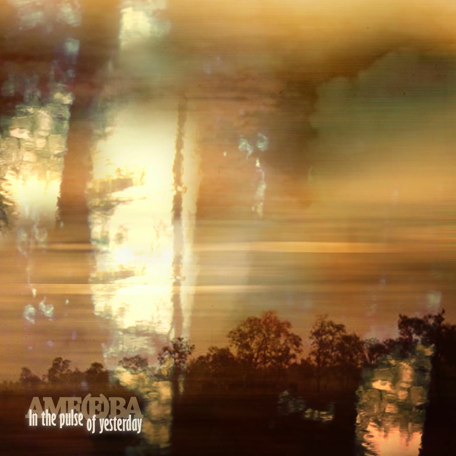 Album cover of In the pulse of yesterday