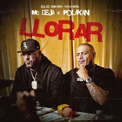 Cover of Llorar