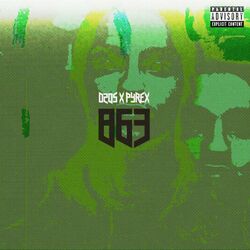 Cover of 863