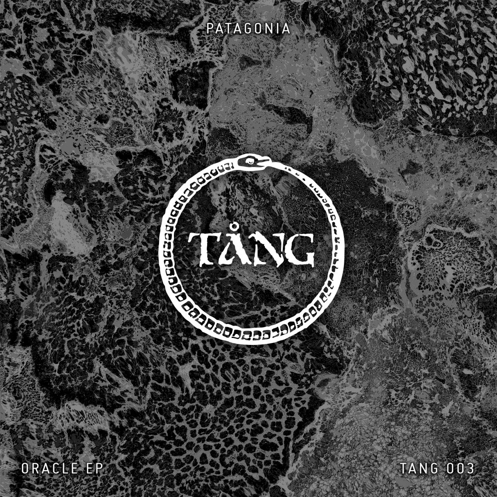 Picture of Oracle EP