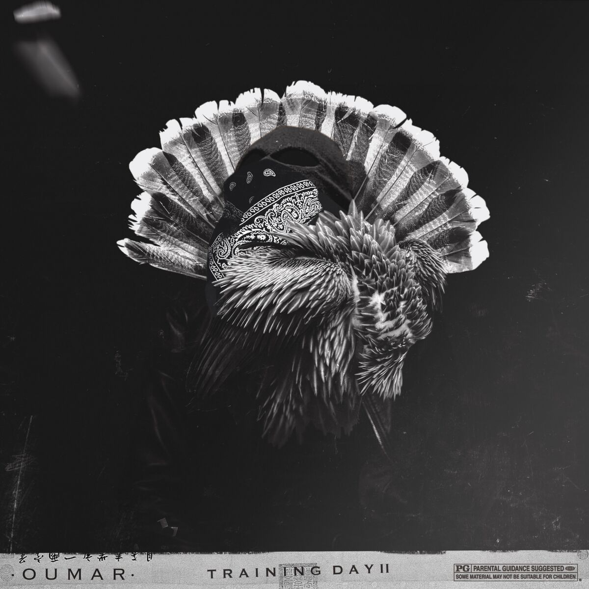 Album cover of Cobra