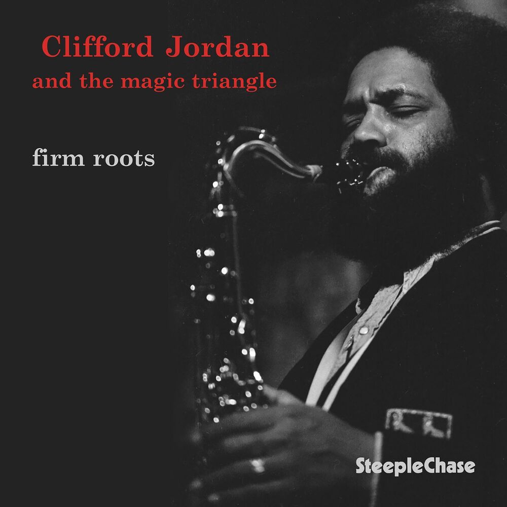 Picture of Firm Roots