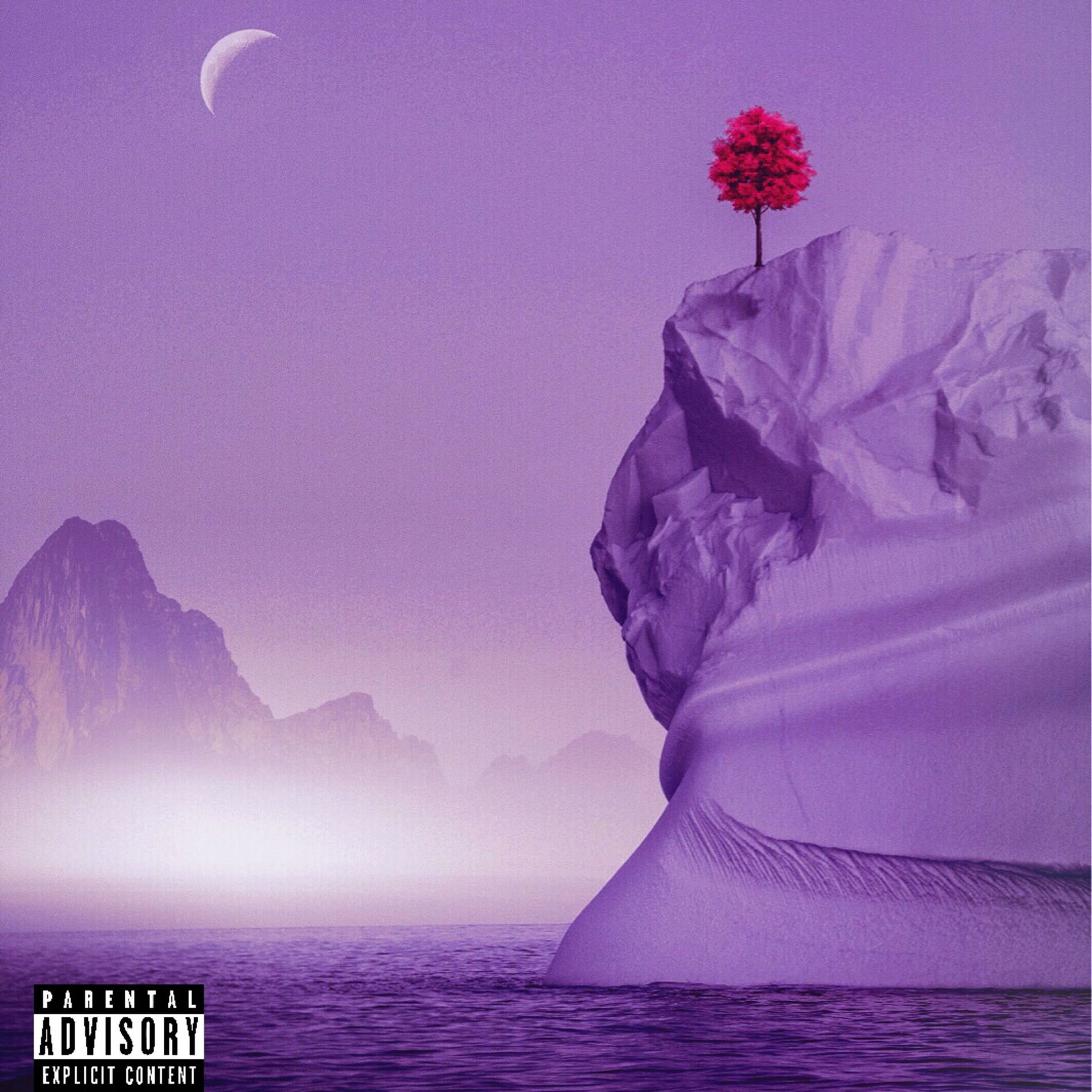 Album cover of Reverb
