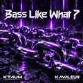 BASS LIKE WHAT ?