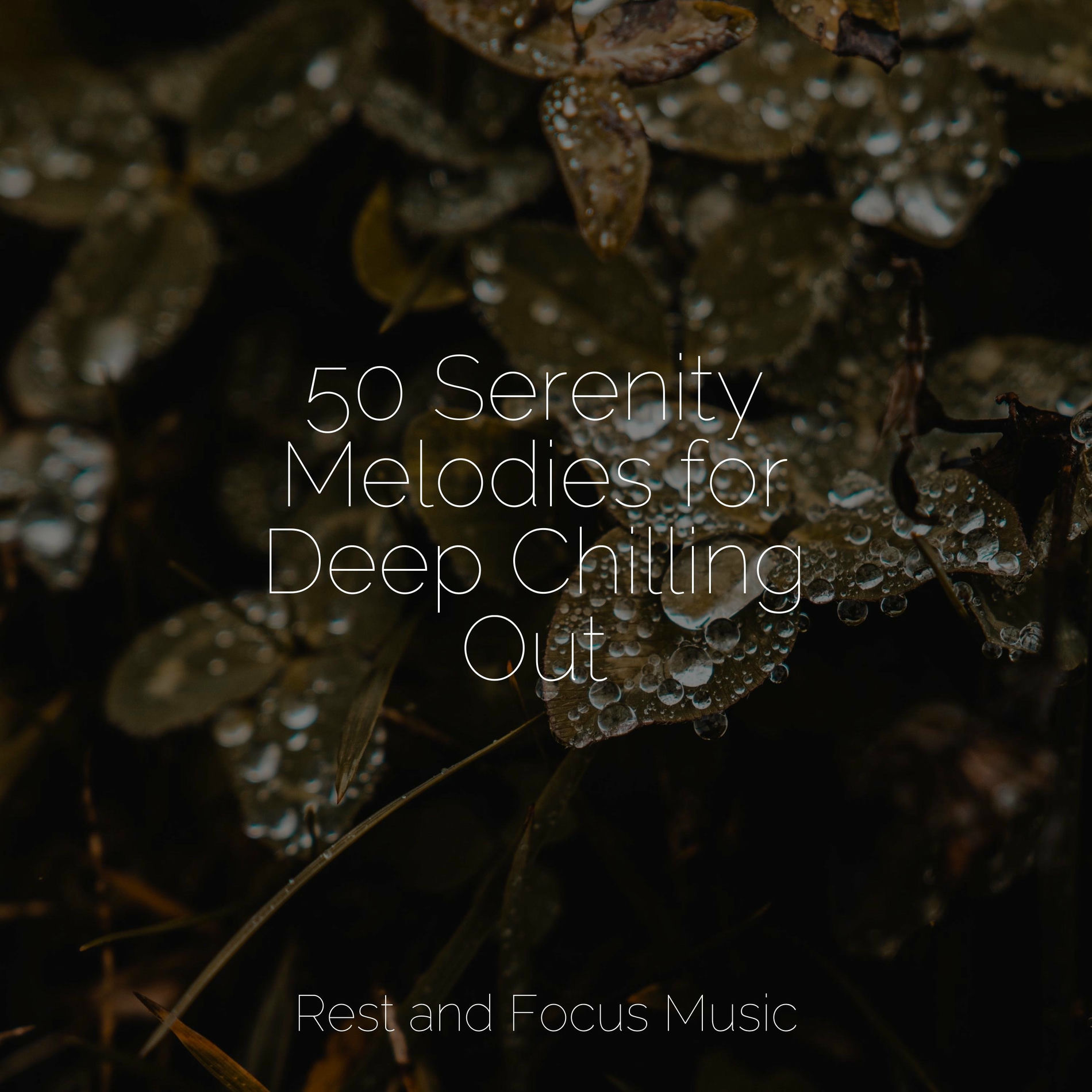 Album cover of 50 Serenity Melodies for Deep Chilling Out
