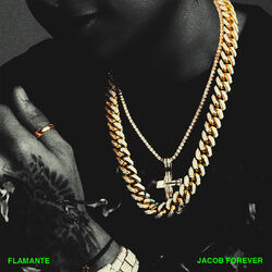 Cover of Flamante