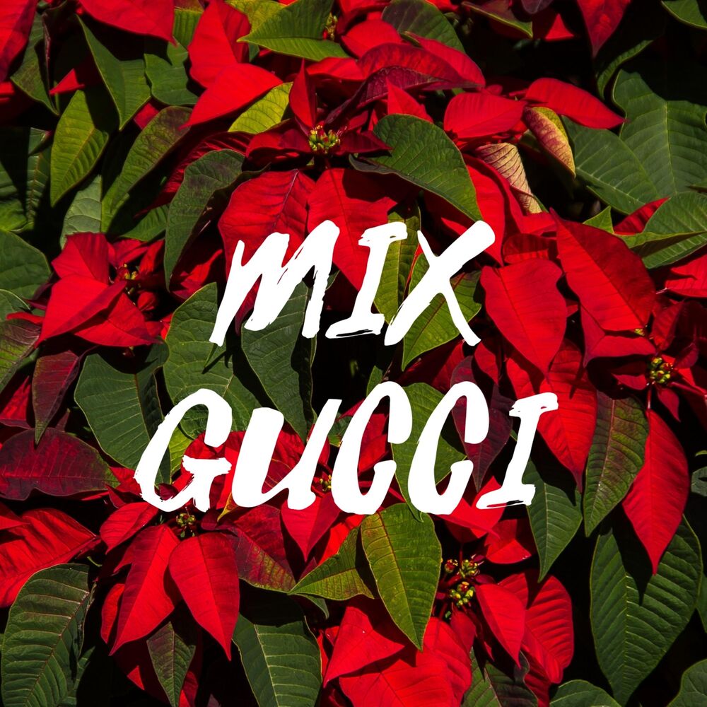 Picture of Mix Gucci