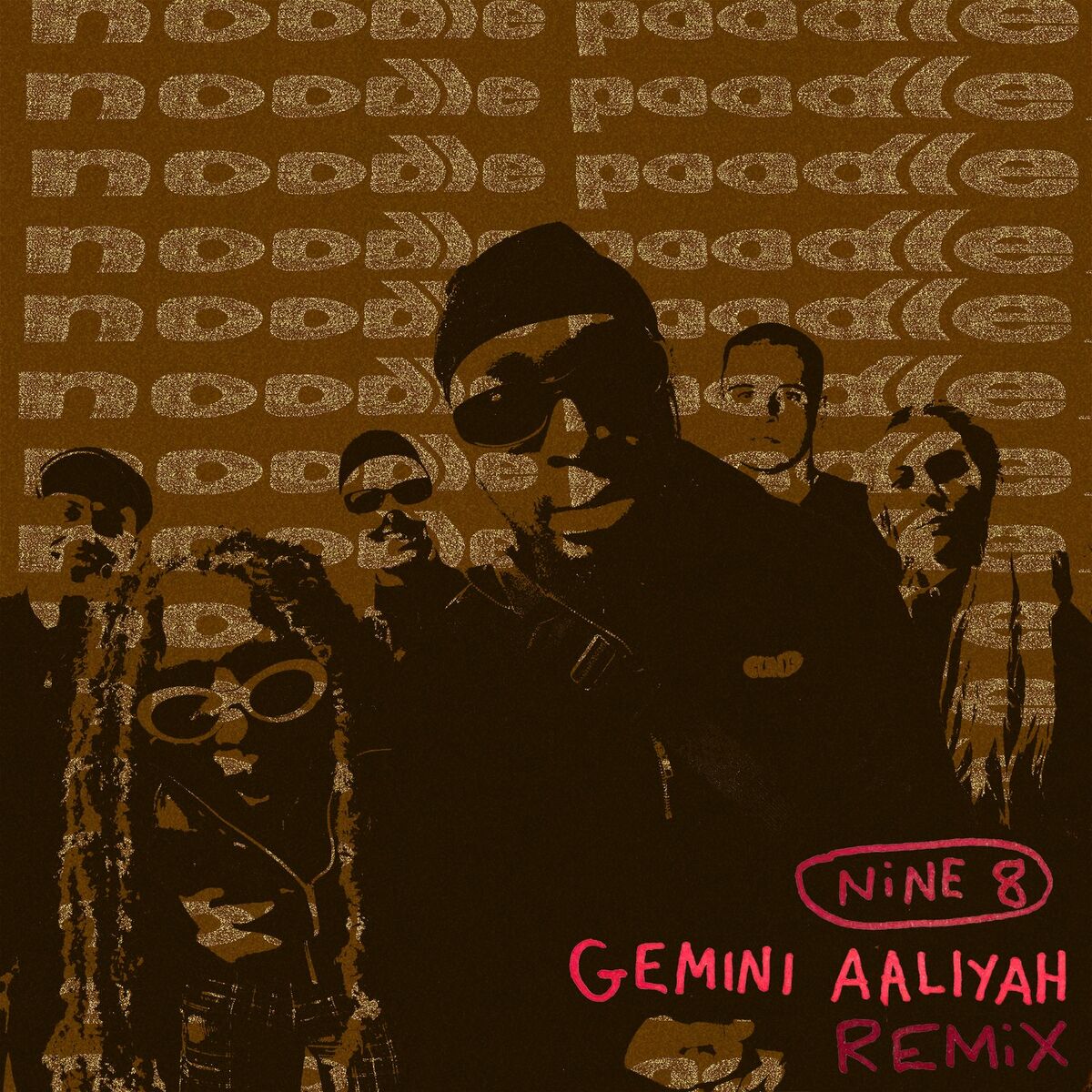Album cover of Noodle Poodle (Gemini Aaliyah Remix)