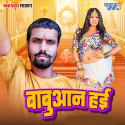 Cover of Babuan Hayi