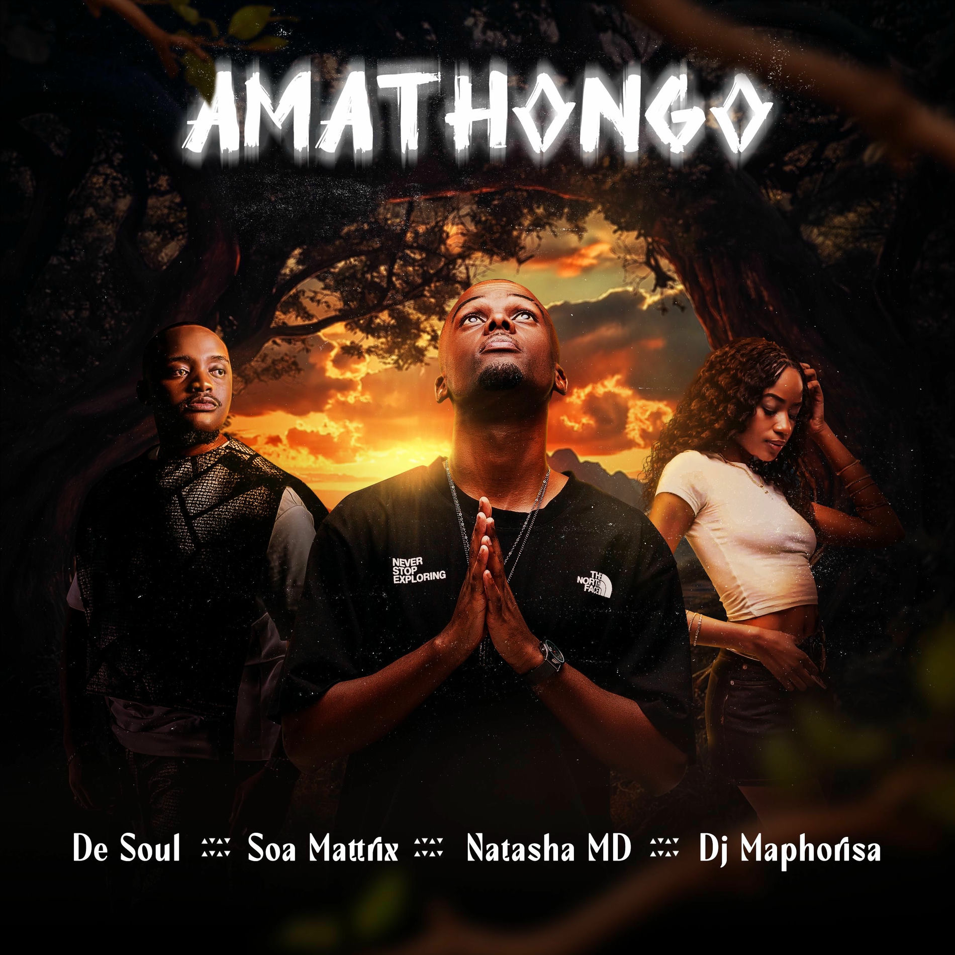 Album cover of Amathongo