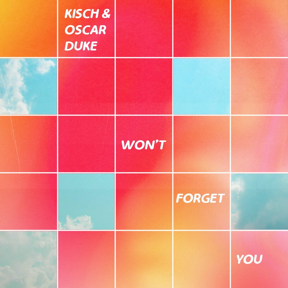Album cover of Won't Forget You