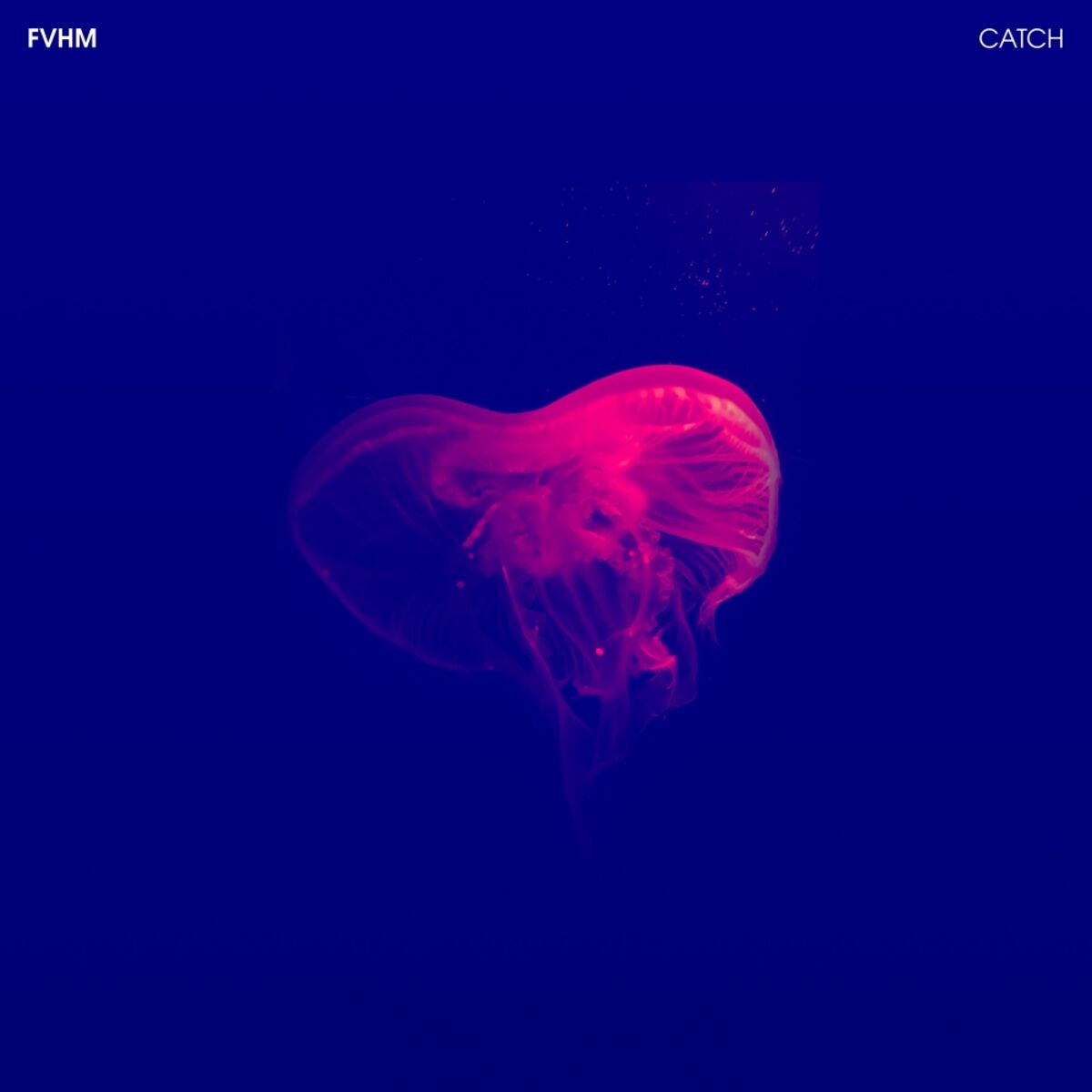 Album cover of Catch