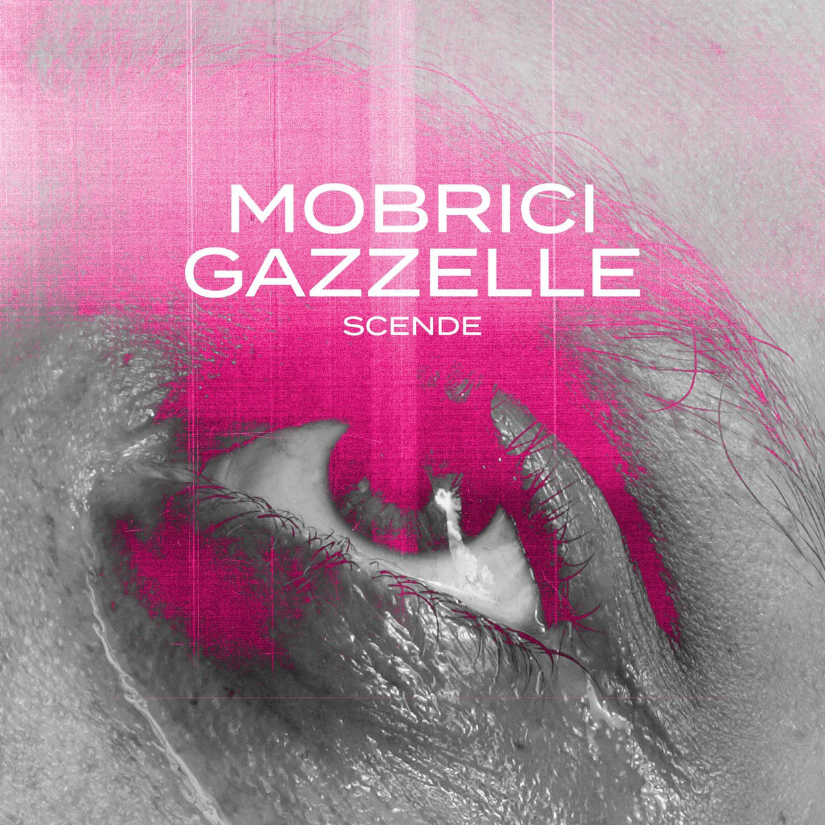 Album cover of SCENDE