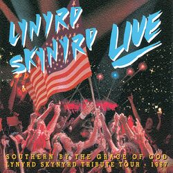 Cover of Southern By The Grace Of God: Lynyrd Skynyrd Tribute Tour 1987 (Live)