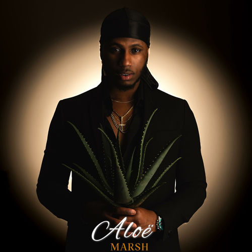 Aloe
