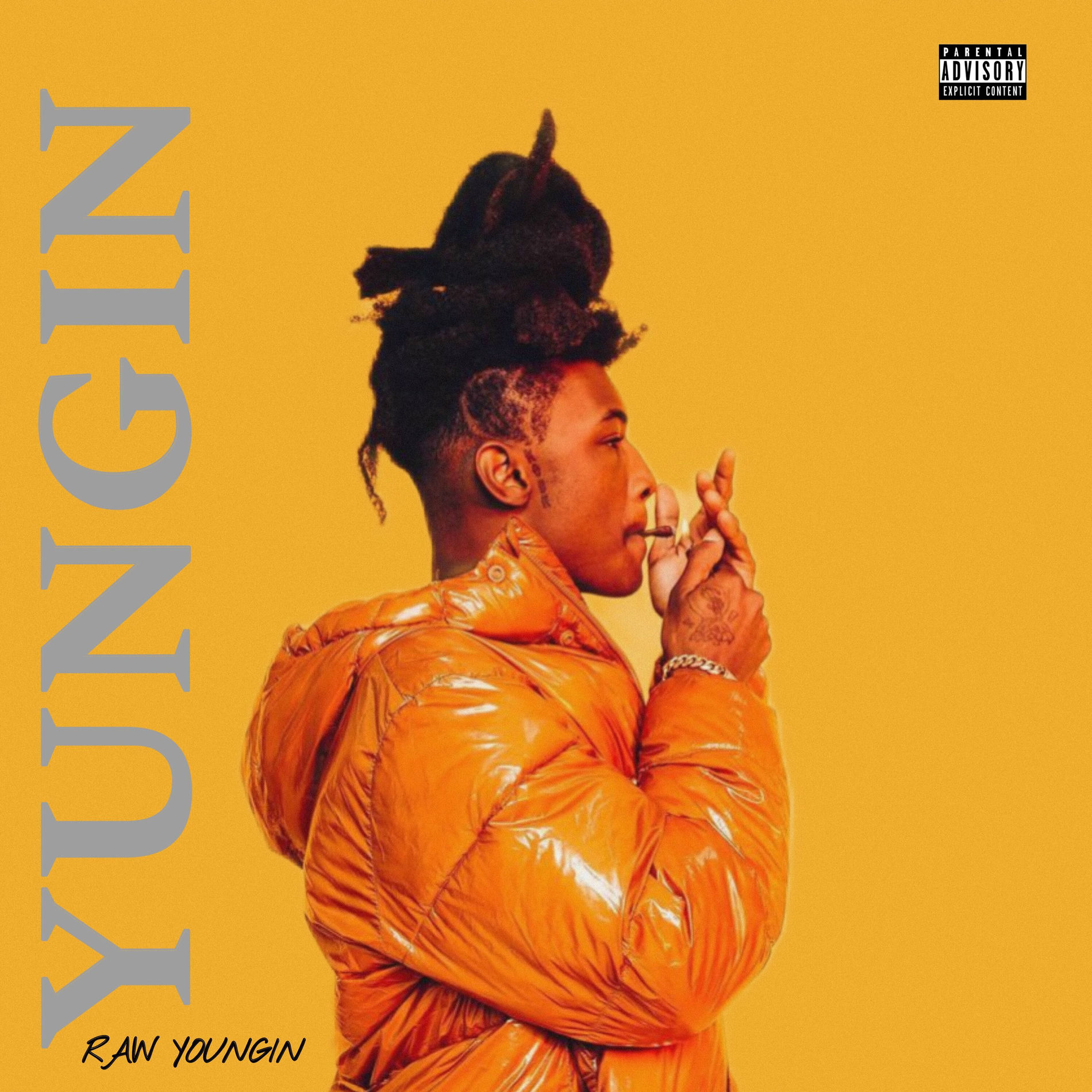 Album cover of Yungin