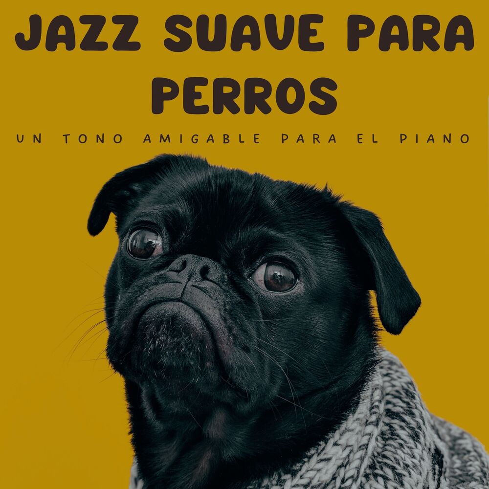 Picture of Jazz Suave Para Perros: Un Tono Amigable Para El Piano