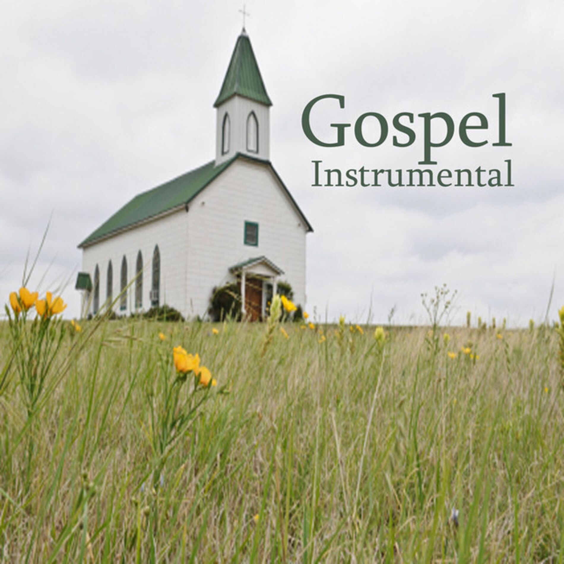 Album picture of Instrumental Gospel: Gospel Hymns