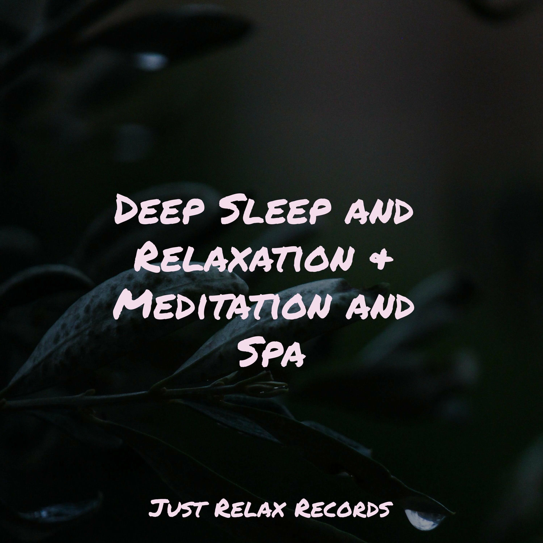 Album cover of Deep Sleep and Relaxation & Meditation and Spa