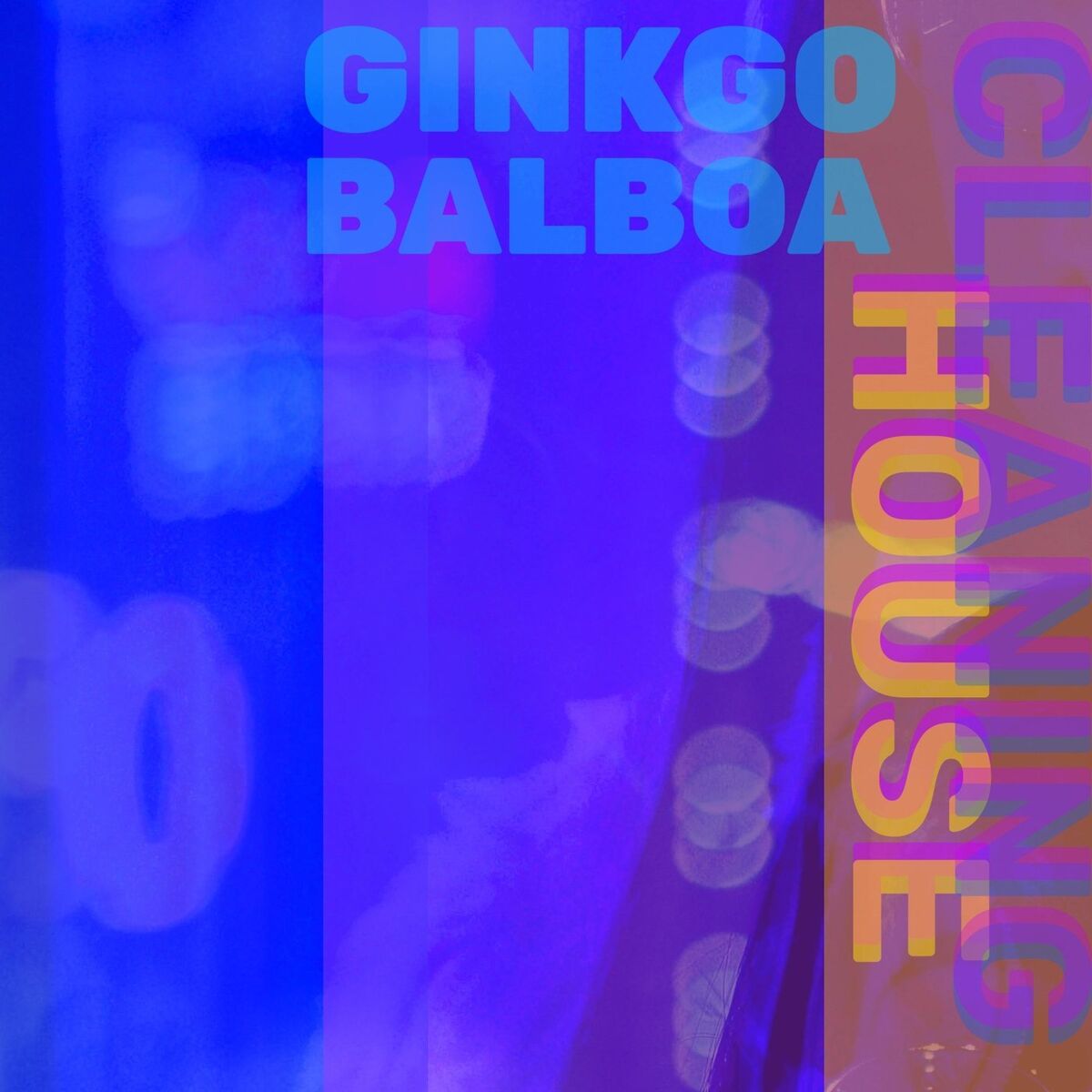 Album cover of Cleaning House
