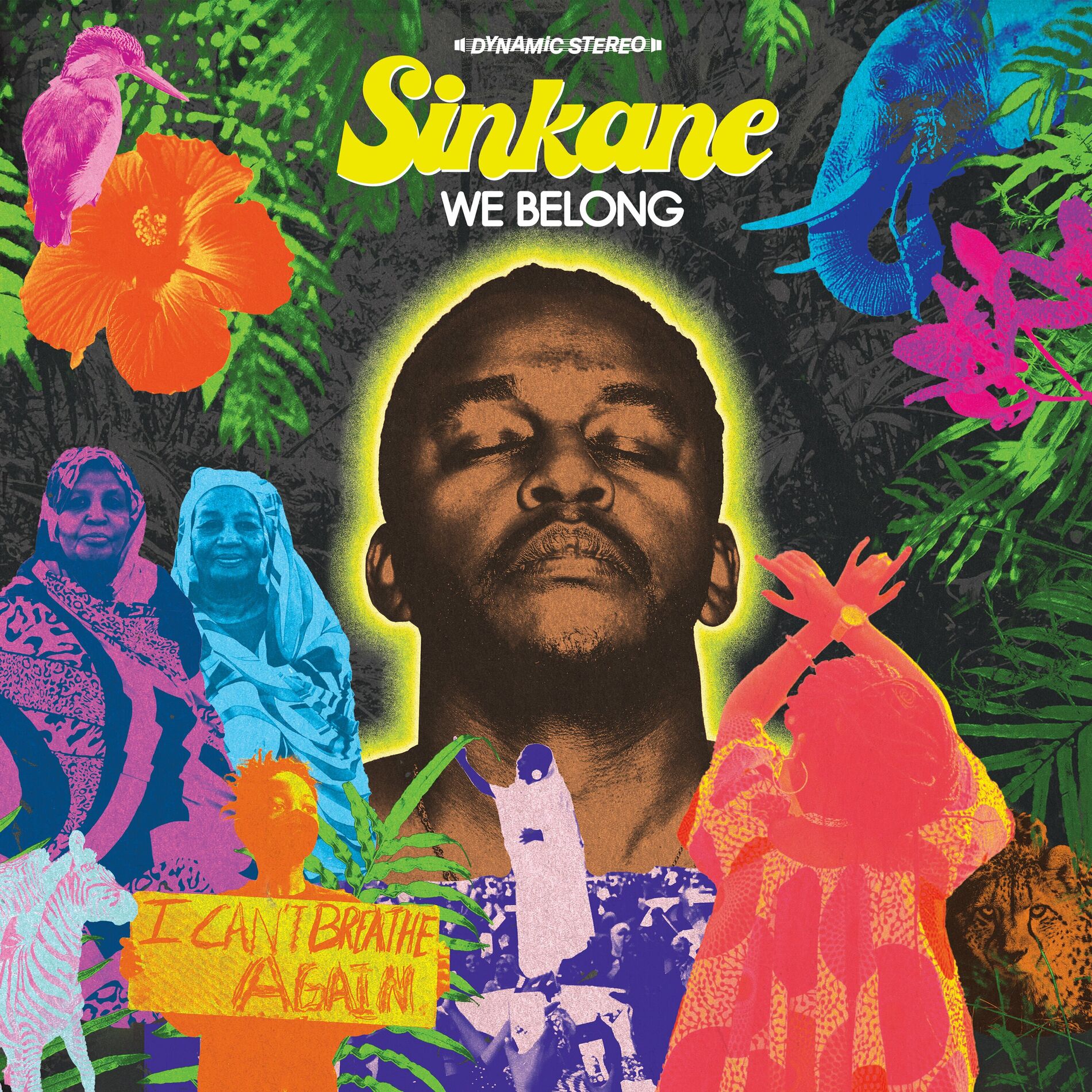 Album cover of We Belong