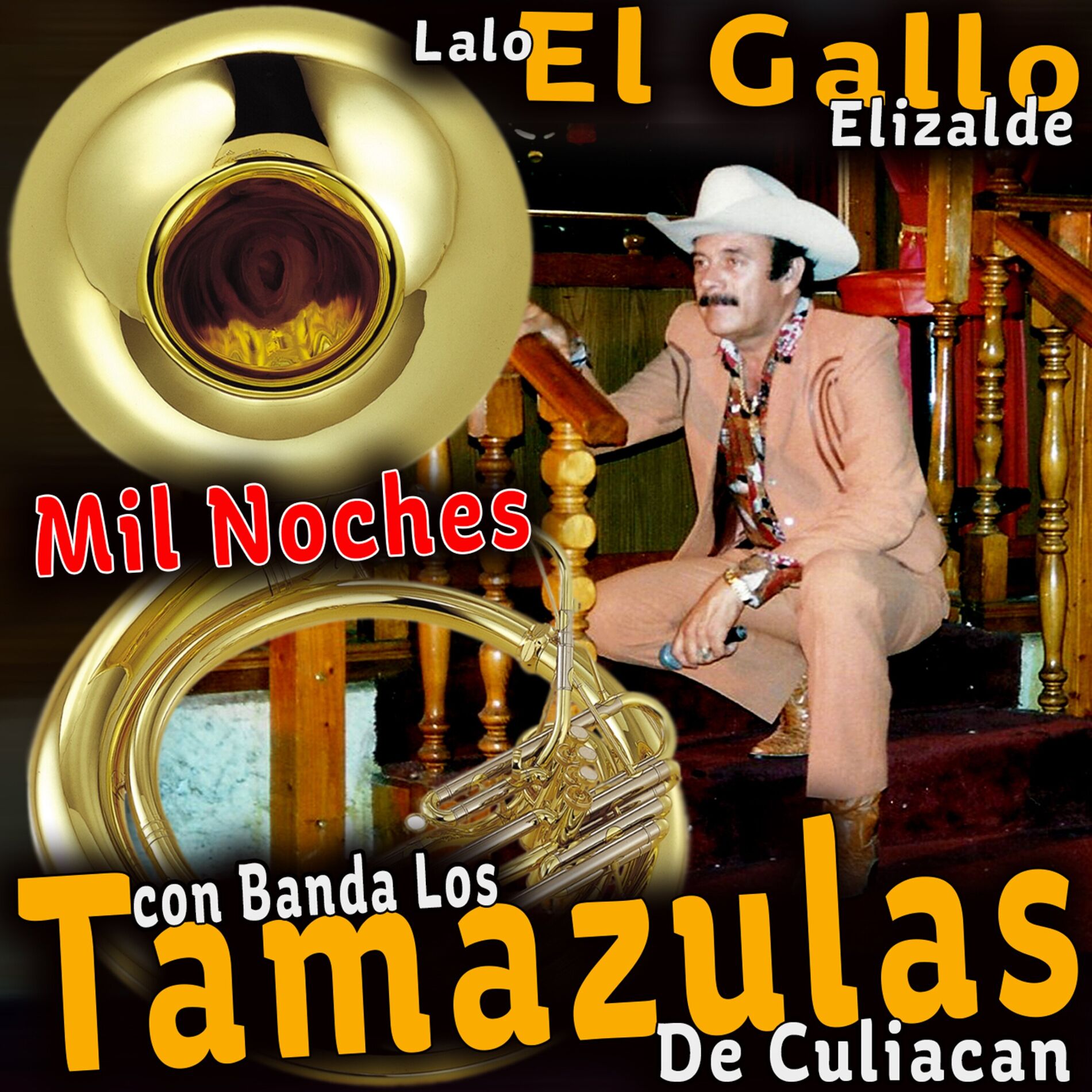 Album cover of Con Banda los Tamazulas de Culiacan