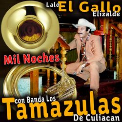Cover of Con Banda los Tamazulas de Culiacan