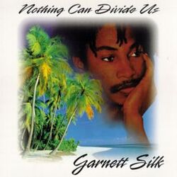 Cover of Nothing Can Divide Us
