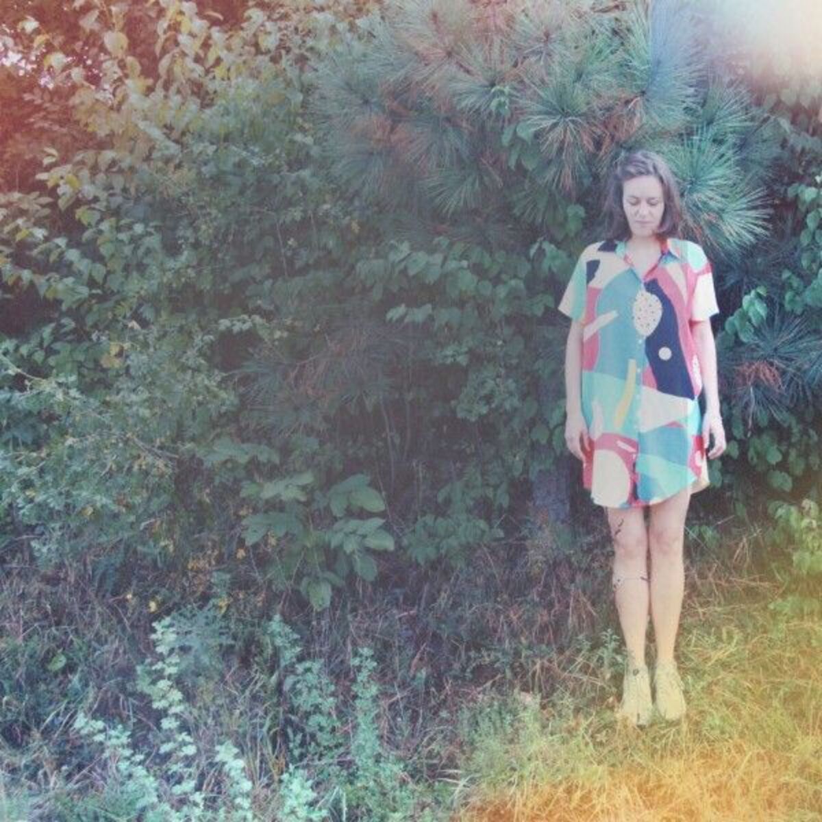 Album cover of In Shades