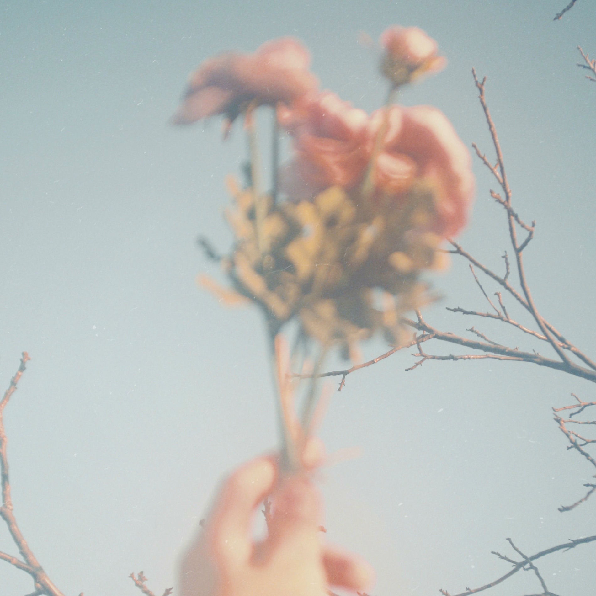 Album cover of someone else