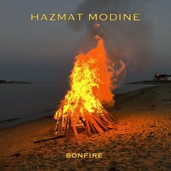 Cover of Bonfire