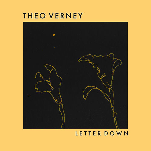Letter Down sleeve