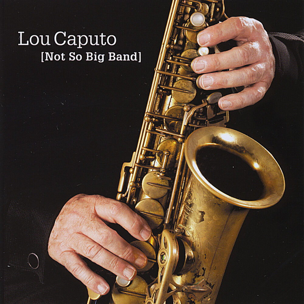 Picture of Not So Big Band