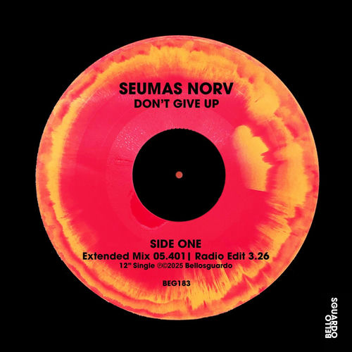  Seumas Norv - Don't Give Up (2025) 
