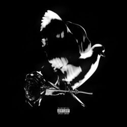 Cover of Shoot For The Stars Aim For The Moon (Deluxe)