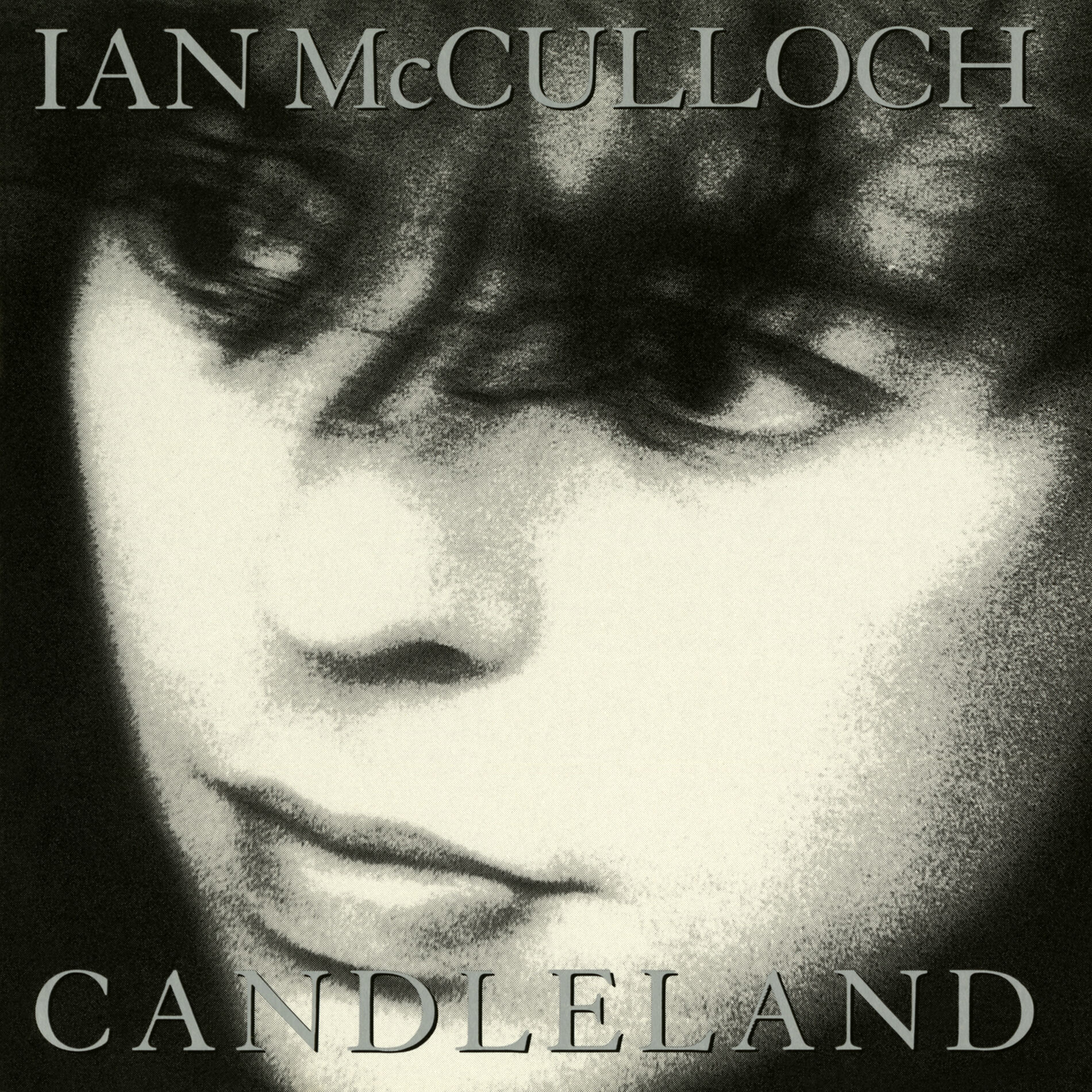 Album cover of Proud to Fall