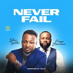 Cover of Never Fail