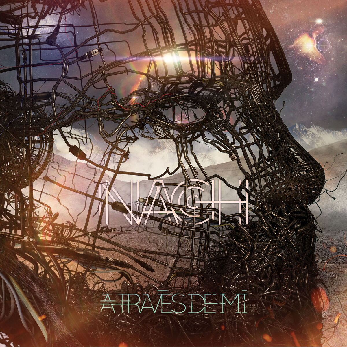 Album cover of A Través De Mí