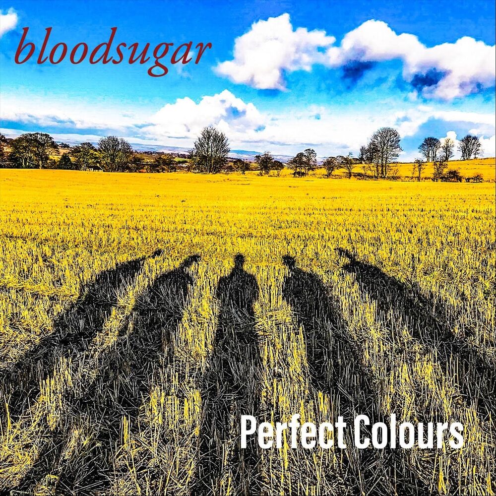 Picture of Perfect Colours