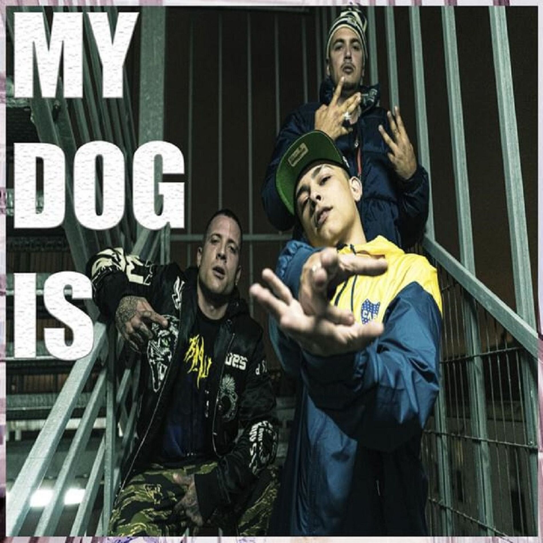 Album cover of My Dog Is