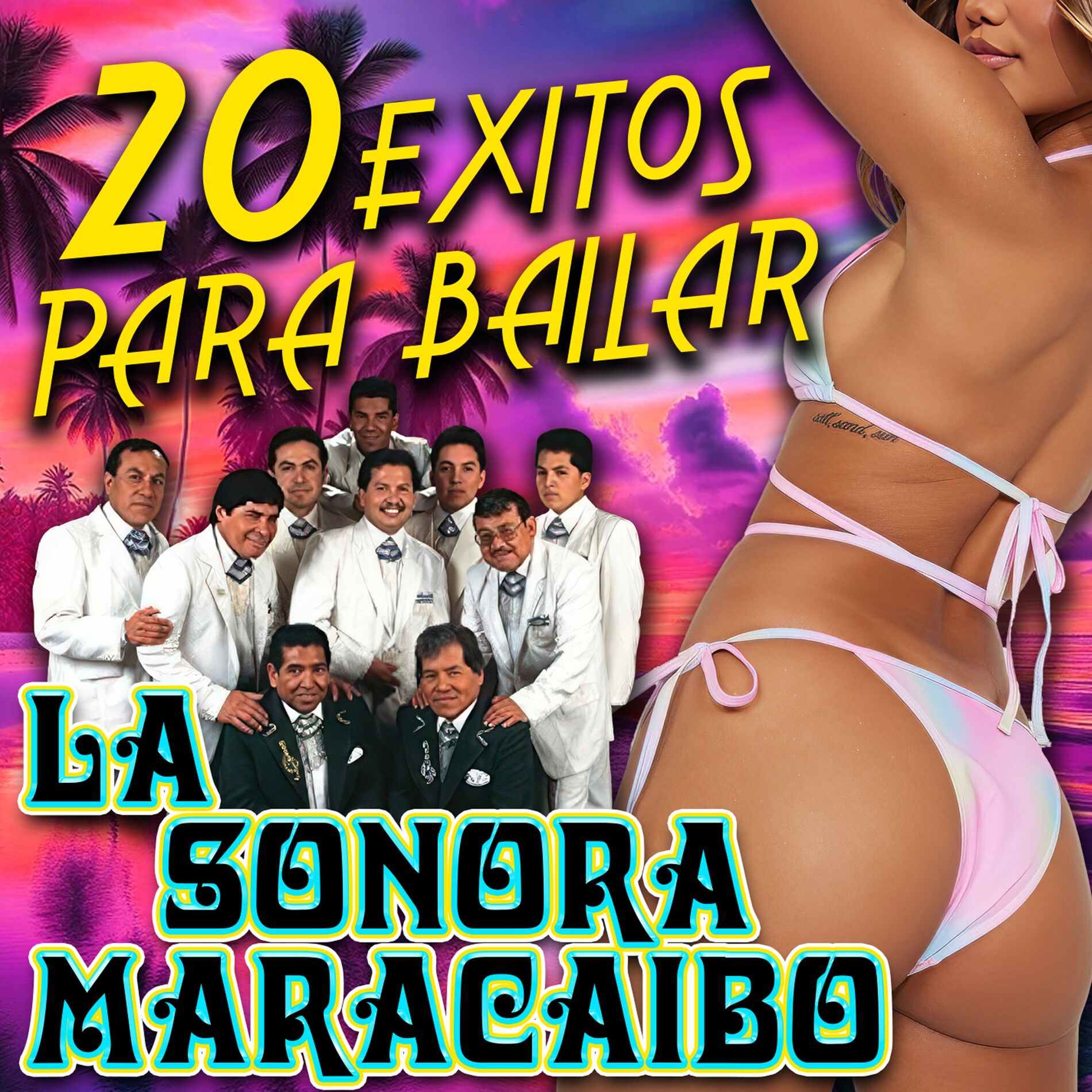 Album cover of 20 Exitos para Bailar